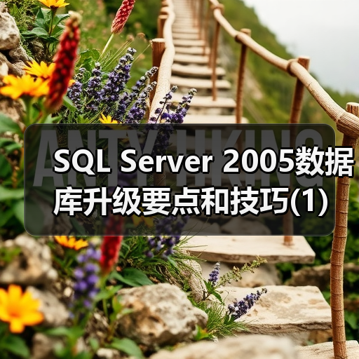 SQL Server 2005数据库升级要点和技巧(1)