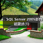 SQL Server 2005新性能简述(1) SQL Server 2005新性能简述(1)