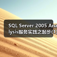 SQL Server 2005 Analysis服务实践之起步(1) SQL Server 2005 Analysis服务实践之起步(1)