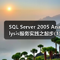 SQL Server 2005 Analysis服务实践之起步(1) SQL Server 2005 Analysis服务实践之起步(1)