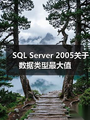 SQL Server 2005关于数据类型最大值
