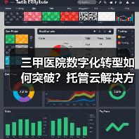 三甲医院数字化转型如何突破？托管云解决方案揭秘