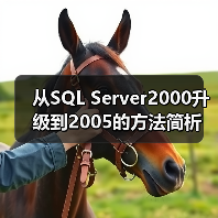 从SQL Server2000升级到2005的方法简析 从SQL Server2000升级到2005的方法简析