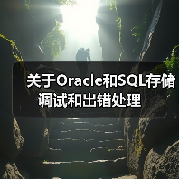 关于Oracle和SQL存储调试和出错处理 关于Oracle和SQL存储调试和出错处理