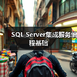 SQL Server集成服务编程基础 SQL Server集成服务编程基础