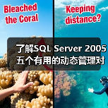 了解SQL Server 2005五个有用的动态管理对象 了解SQL Server 2005五个有用的动态管理对象