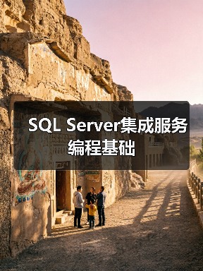SQL Server集成服务编程基础 SQL Server集成服务编程基础