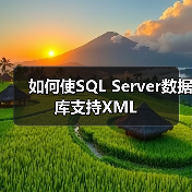 如何使SQL Server数据库支持XML