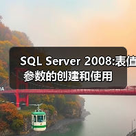 SQL Server 2008:表值参数的创建和使用 SQL Server 2008:表值参数的创建和使用