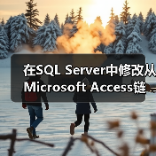 在SQL Server中修改从Microsoft Access链接的表 在SQL Server中修改从Microsoft Access链接的表