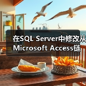 在SQL Server中修改从Microsoft Access链接的表 在SQL Server中修改从Microsoft Access链接的表