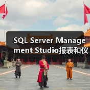 SQL Server Management Studio报表和仪表板 SQL Server Management Studio报表和仪表板