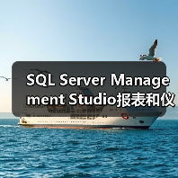 SQL Server Management Studio报表和仪表板 SQL Server Management Studio报表和仪表板