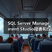 SQL Server Management Studio报表和仪表板 SQL Server Management Studio报表和仪表板