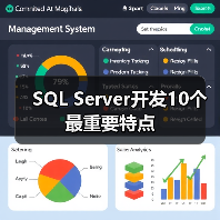SQL Server开发10个最重要特点 SQL Server开发10个最重要特点
