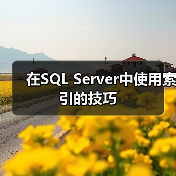 在SQL Server中使用索引的技巧