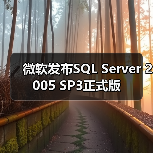 微软发布SQL Server 2005 SP3正式版