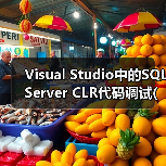 Visual Studio中的SQL Server CLR代码调试(1) Visual Studio中的SQL Server CLR代码调试(1)
