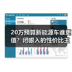 20万预算新能源车谁更值？闭眼入的性价比王者