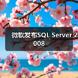 微软发布SQL Server 2008 微软发布SQL Server 2008
