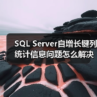 SQL Server自增长键列统计信息问题怎么解决? SQL Server自增长键列统计信息问题怎么解决?