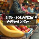参数化SQL语句真的不会污染计划缓存？