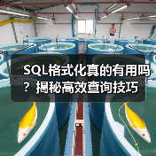 SQL格式化真的有用吗？揭秘高效查询技巧