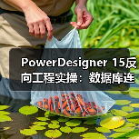 PowerDesigner 15反向工程实操:数据库连接配置全攻略 PowerDesigner 15反向工程实操:数据库连接配置全攻略