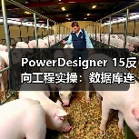 PowerDesigner 15反向工程实操:数据库连接配置全攻略 PowerDesigner 15反向工程实操:数据库连接配置全攻略