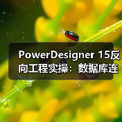 PowerDesigner 15反向工程实操:数据库连接配置全攻略 PowerDesigner 15反向工程实操:数据库连接配置全攻略