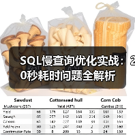 SQL慢查询优化实战:20秒耗时问题全解析 SQL慢查询优化实战:20秒耗时问题全解析