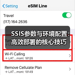 SSIS参数与环境配置：高效部署的核心技巧
