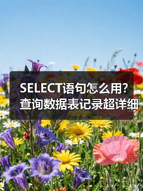 SELECT语句怎么用?查询数据表记录超详细教程 SELECT语句怎么用?查询数据表记录超详细教程