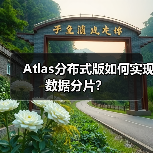 Atlas分布式版如何实现数据分片? Atlas分布式版如何实现数据分片?
