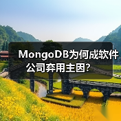 MongoDB为何成软件公司弃用主因? MongoDB为何成软件公司弃用主因?