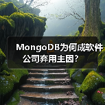 MongoDB为何成软件公司弃用主因? MongoDB为何成软件公司弃用主因?