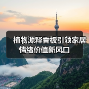 植物源释香板引领家居情绪价值新风口 植物源释香板引领家居情绪价值新风口
