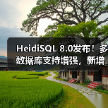 HeidiSQL 8.0发布!多数据库支持增强,新增23种语言及修复关键BUG HeidiSQL 8.0发布!多数据库支持增强,新增23种语言及修复关键BUG