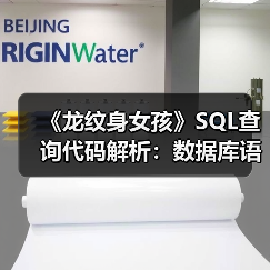 《龙纹身女孩》SQL查询代码解析:数据库语法差异揭秘 《龙纹身女孩》SQL查询代码解析:数据库语法差异揭秘