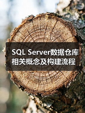 SQL Server数据仓库相关概念及构建流程