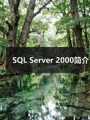 SQL Server 2000简介 SQL Server 2000简介