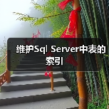 维护Sql Server中表的索引