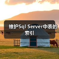 维护Sql Server中表的索引