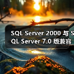 SQL Server 2000 与 SQL Server 7.0 版兼容性问题 SQL Server 2000 与 SQL Server 7.0 版兼容性问题