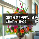 如何分清种子期、成长期与Pre-IPO？——带你3分钟搞懂风险投资的四大类型