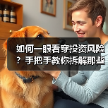 如何一眼看穿投资风险？手把手教你拆解那些藏在数字背后的秘密
