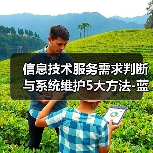 信息技术服务需求判断与系统维护5大方法-蓝帝科技经验分享