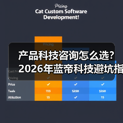 产品科技咨询怎么选？2026年蓝帝科技避坑指南与要点